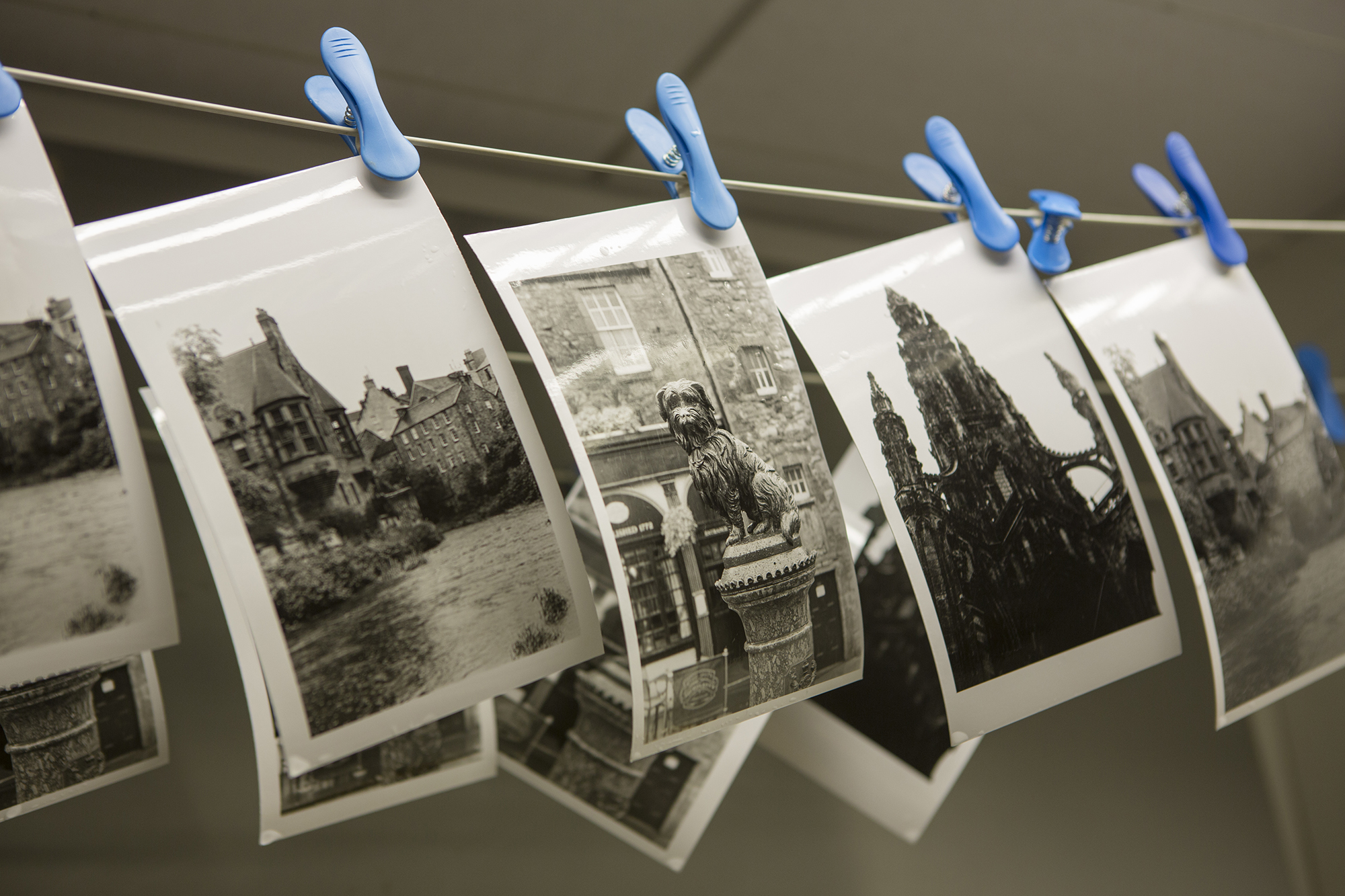 Black & white prints on display